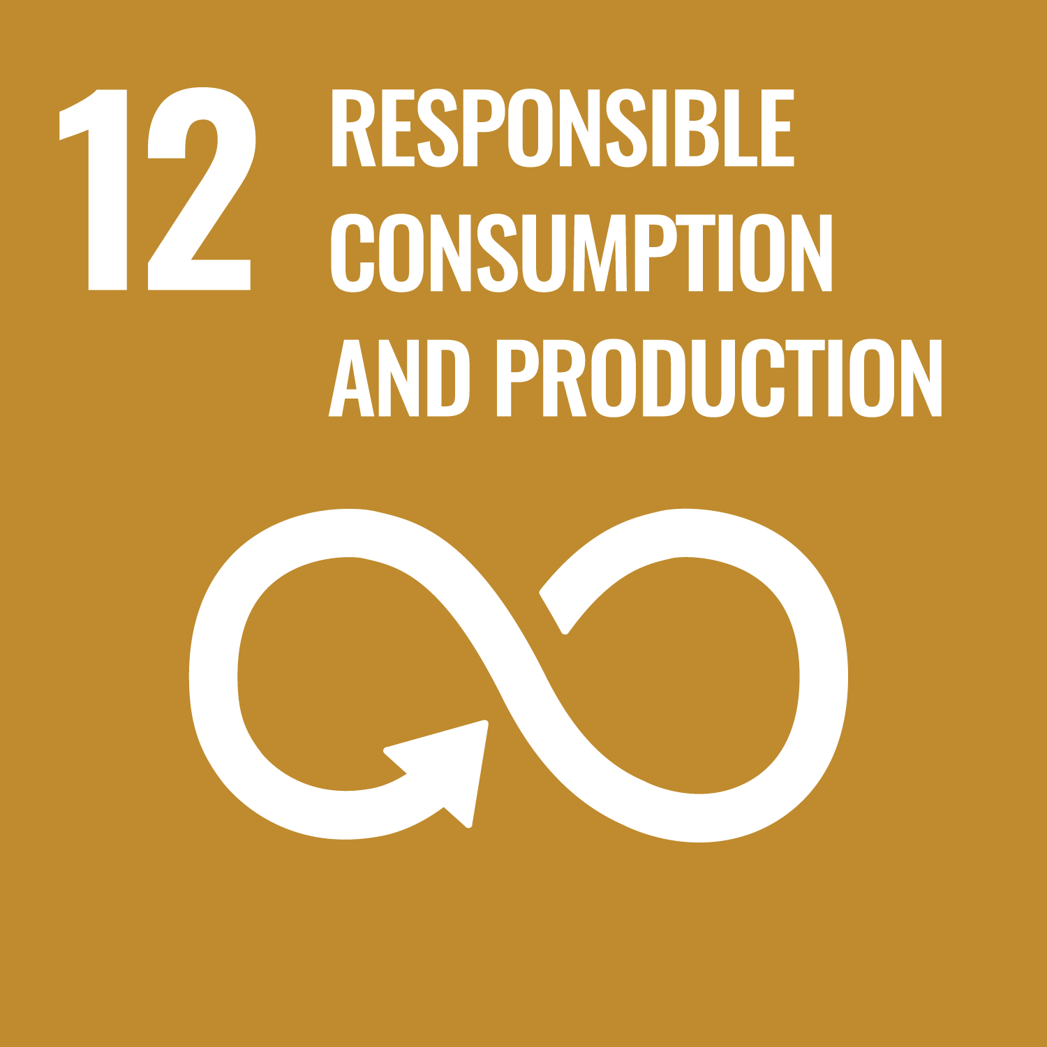 Sustainable Development Goal 12 Responsible Consumption
